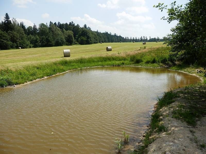 Chata · Dědová, Pardubický kraj - 3