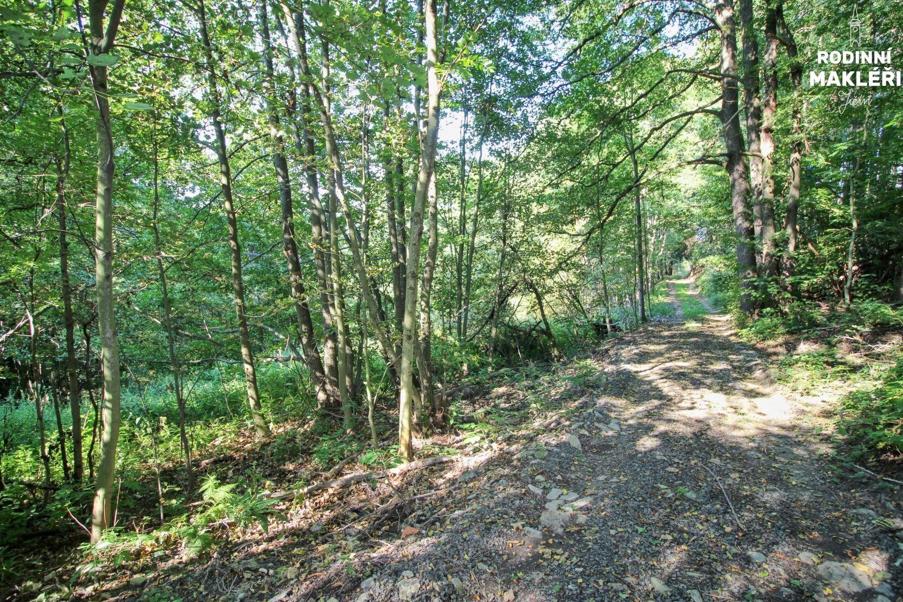 Louky, Jestřabí v Krkonoších, 1 m²