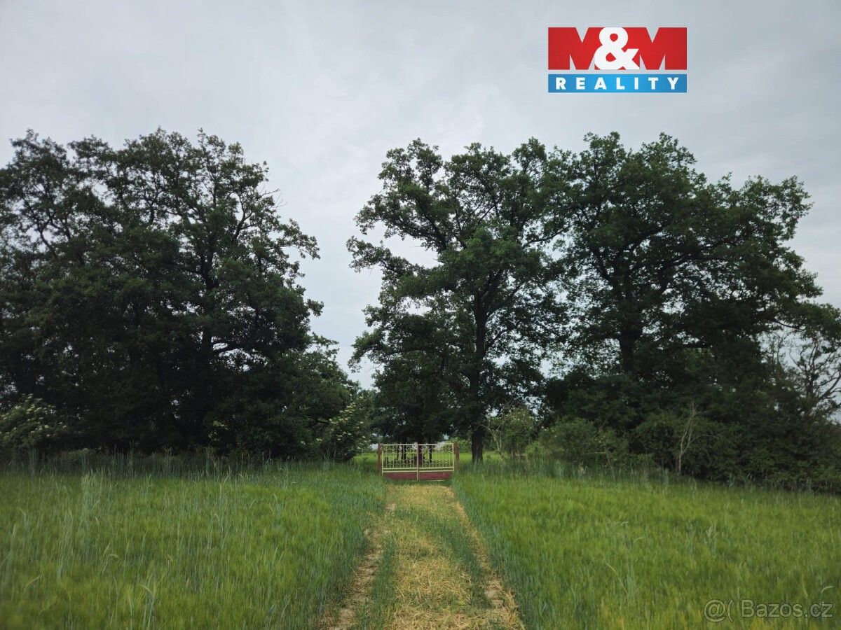 Pozemky pro bydlení, Předměřice nad Jizerou, 294 74