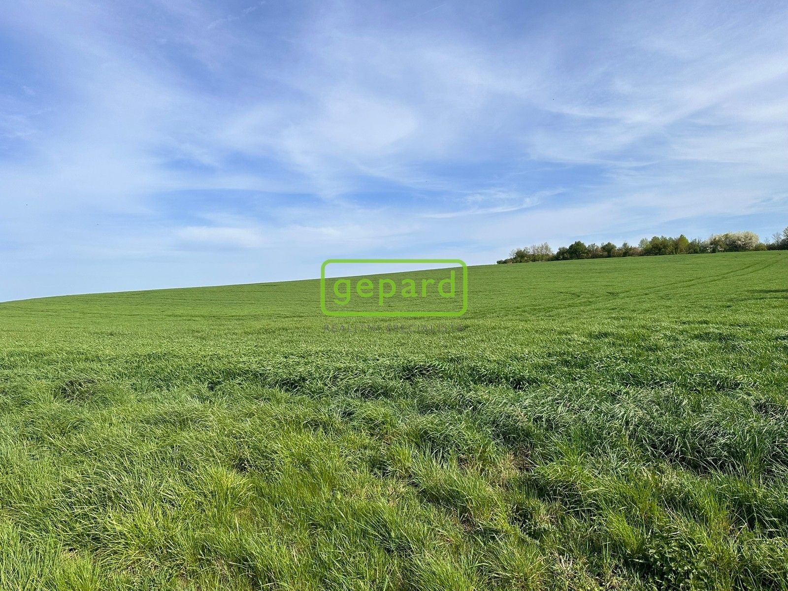 Prodej zemědělský pozemek - Brno, 5 m²