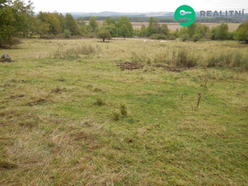 Pozemky pro bydlení, Dlouhé Hradiště, Konstantinovy Lázně, 4 000 m² - 2