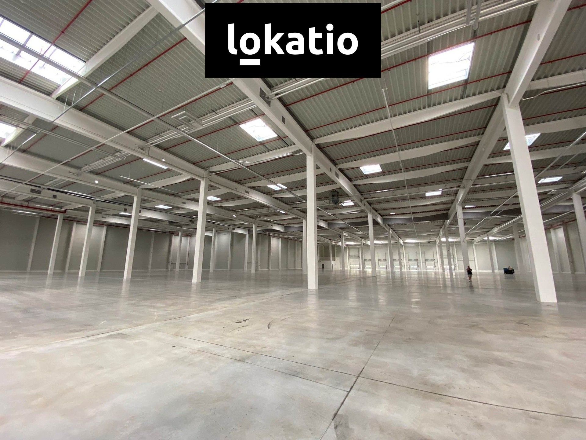 Sklady, Vítkovice, Ostrava, 2 900 m² - 2