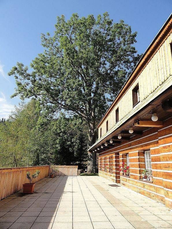 Chaty, Špindlerův Mlýn - Labská, Královéhradecký kraj - 2