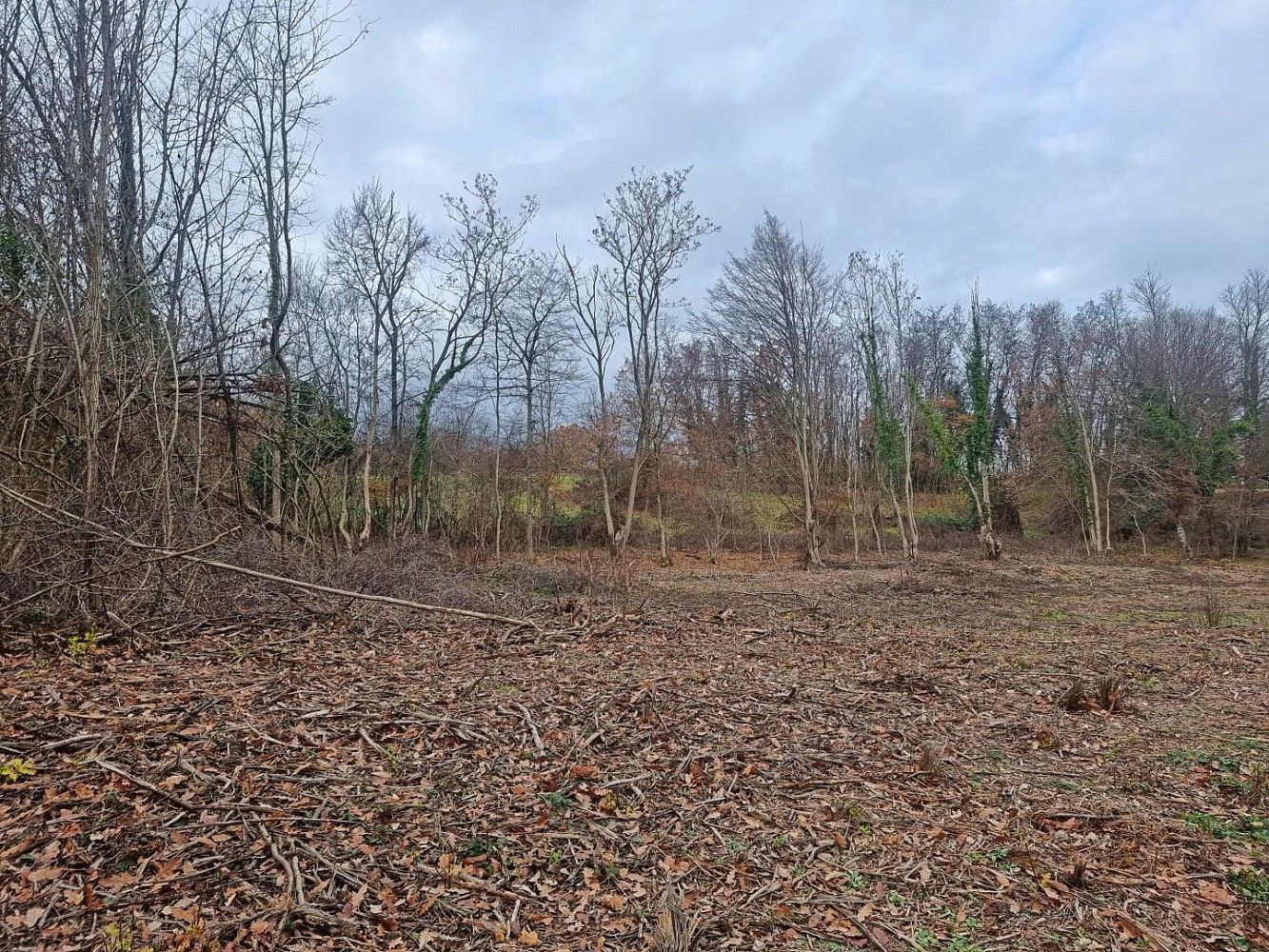 Pozemek pro bydlení, 969 m²