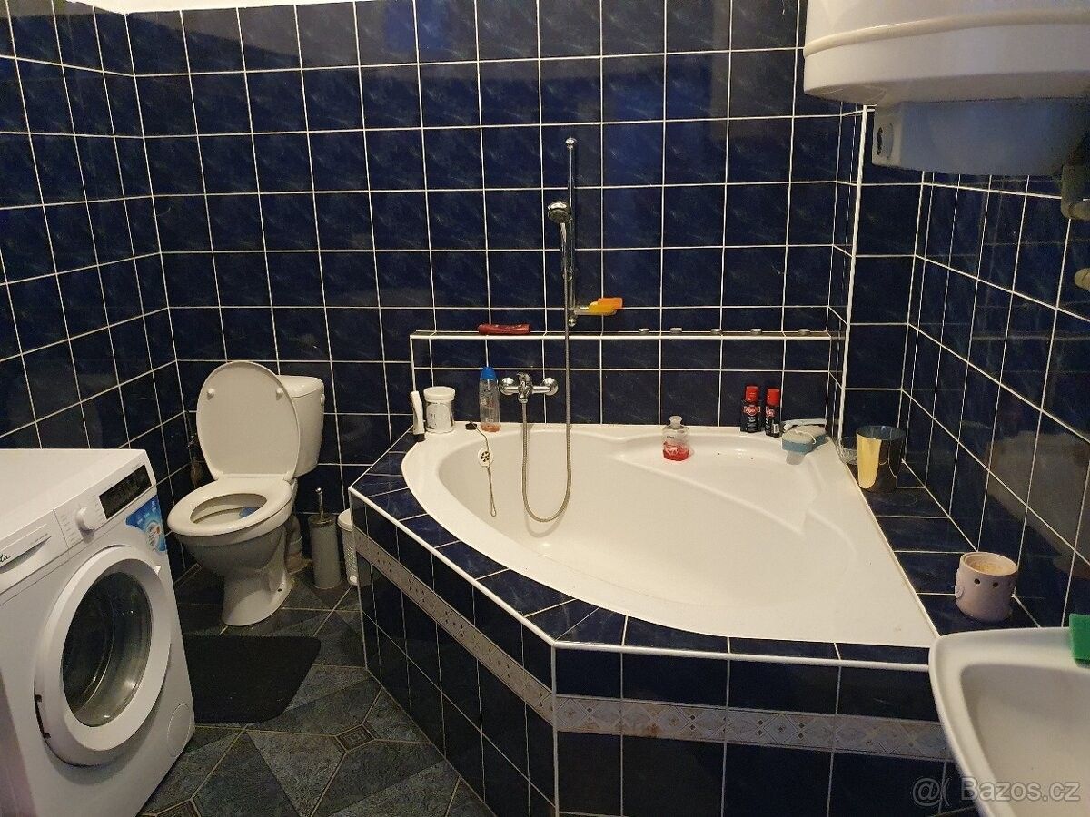 1+1 Apartment in Olešná, okres Pelhřimov - View 3