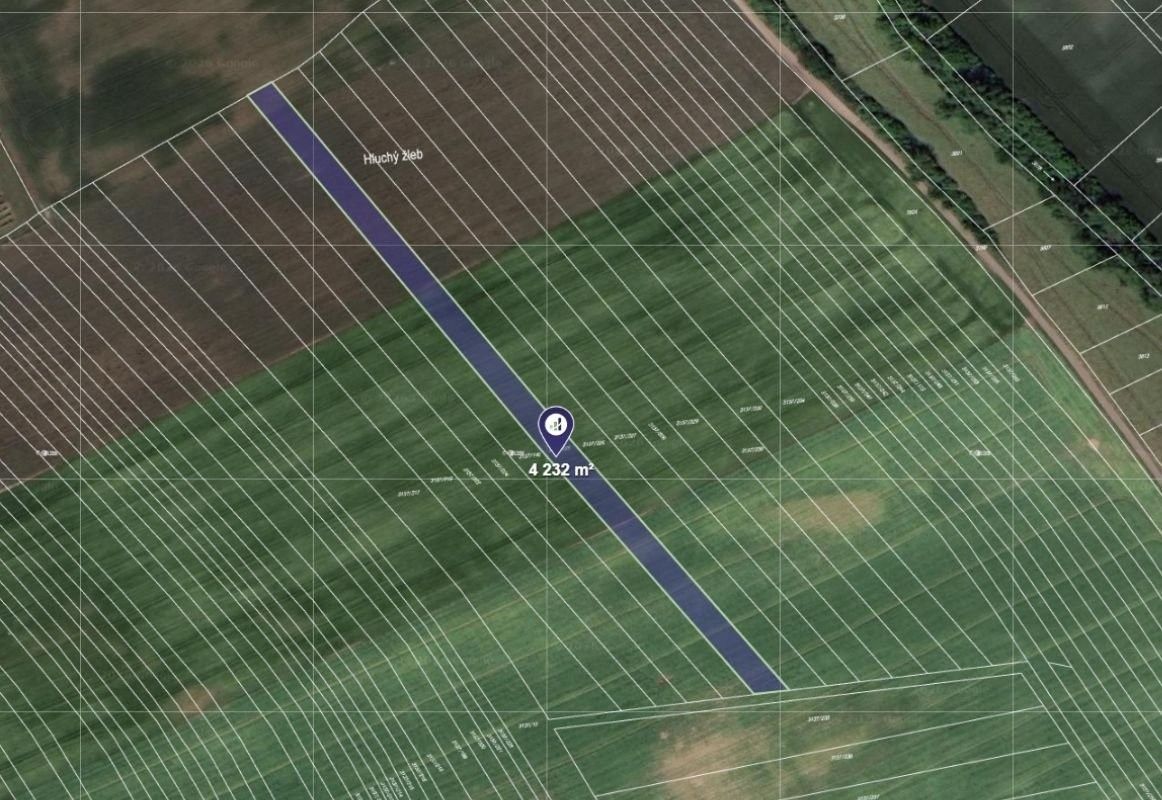 Zemědělský pozemek, 4 232 m²