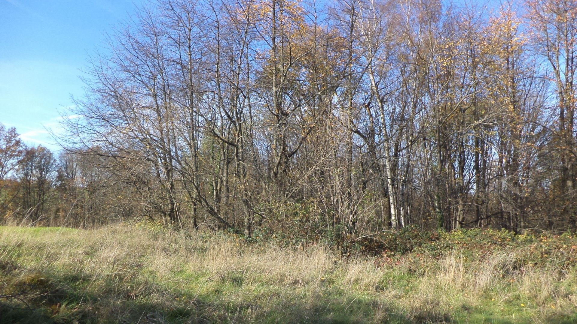 Prodej pozemek pro bydlení - Nakolice, Nové Hrady, 1 m²