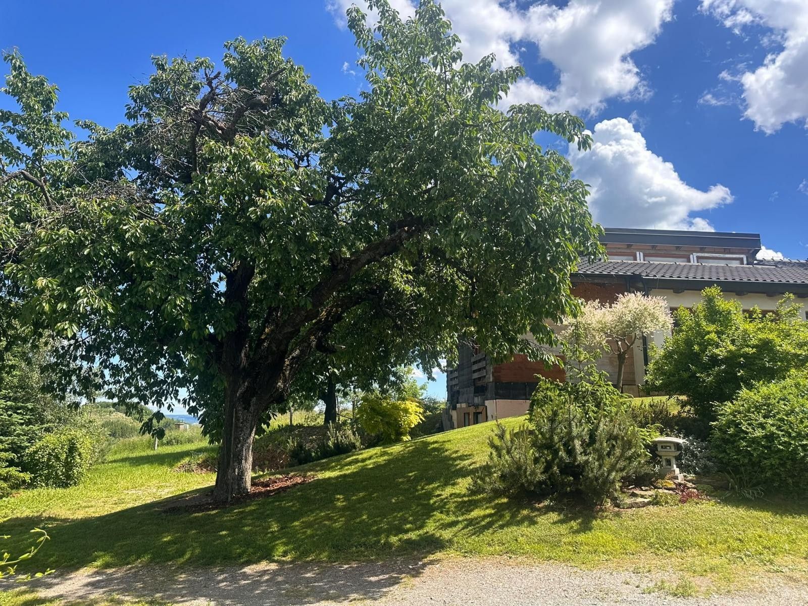 Rodinný dům · 135 m² · Bedřichov, Blansko - 3