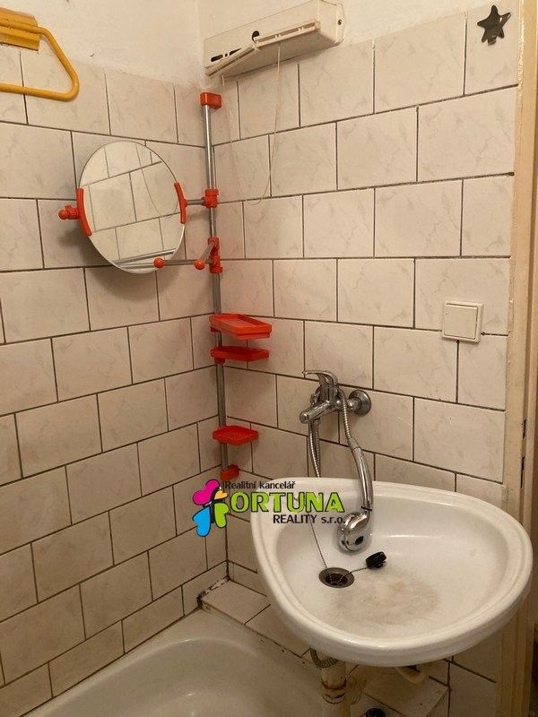 Pronájem byt 1+kk - El. Krásnohorské, České Budějovice, 30 m²