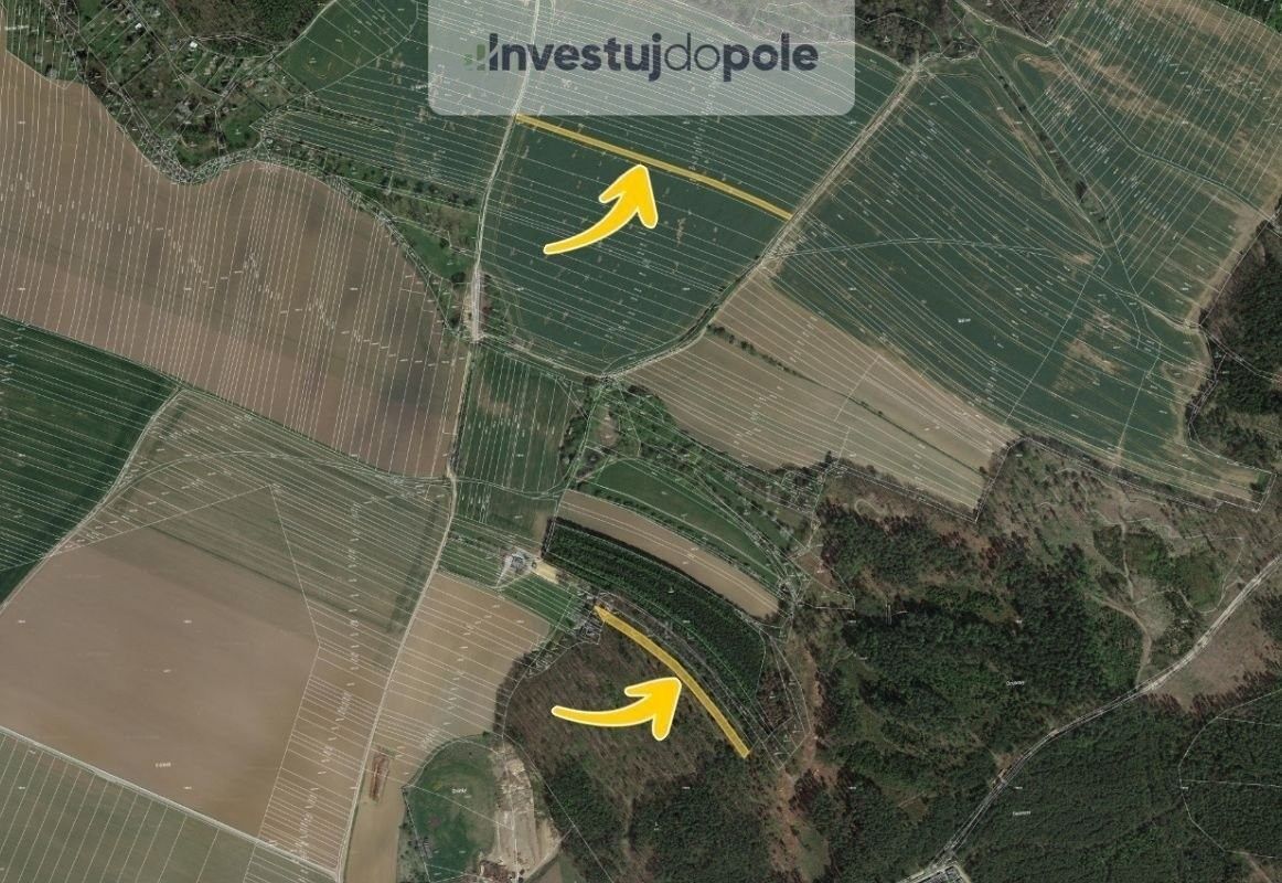 Les · Boskovice - 3
