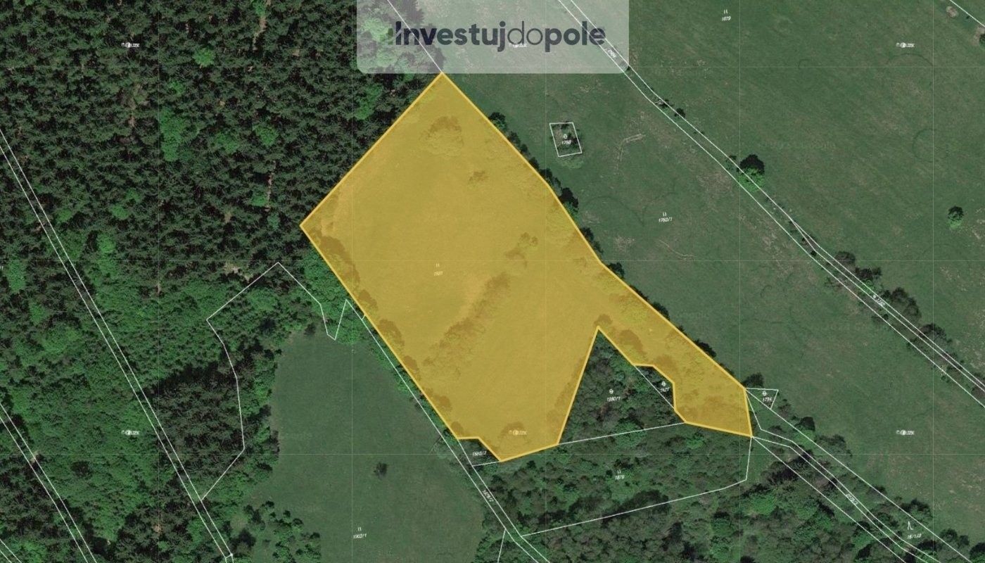 Louky, Babí, Trutnov