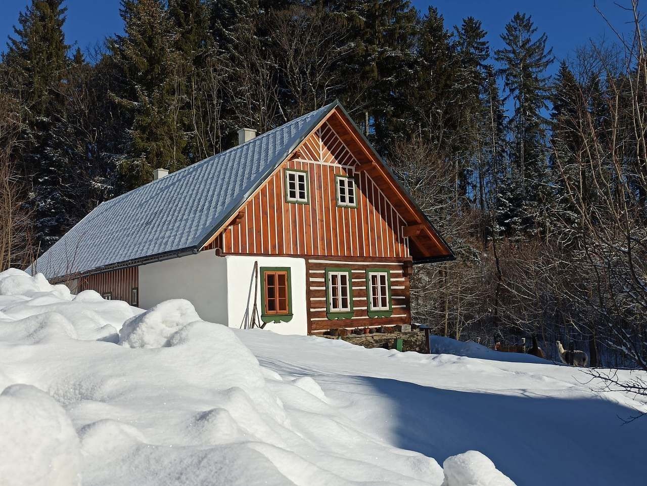 Chaty, Vysoké nad Jizerou - Stará Ves u Vysokého nad Jizerou, Liberecký kraj - 1