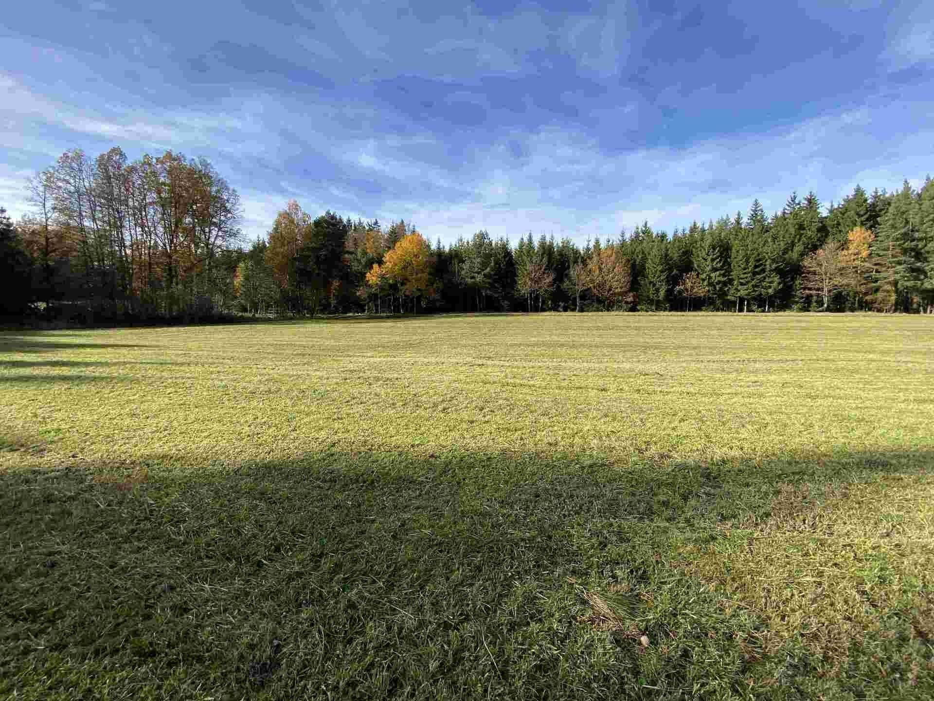 Prodej zemědělský pozemek - Blatná, 10 862 m² - 5