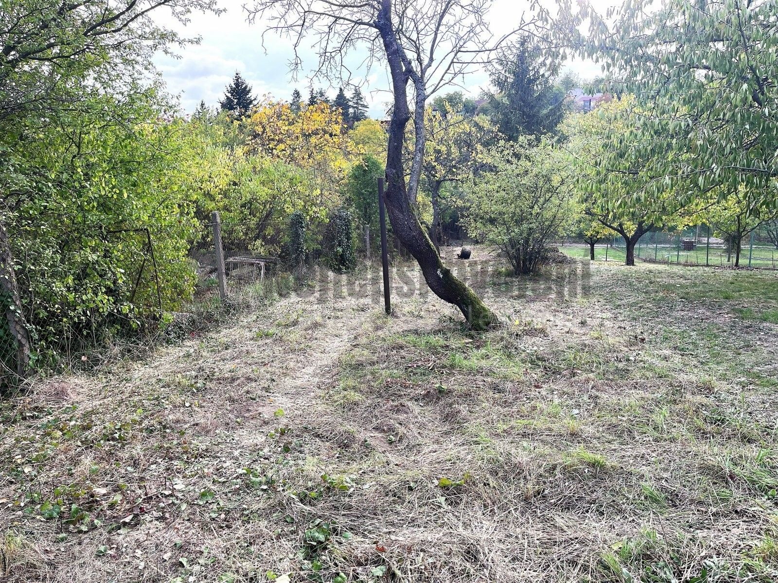 Zahrady, Jundrov, Brno, 933 m² - 1