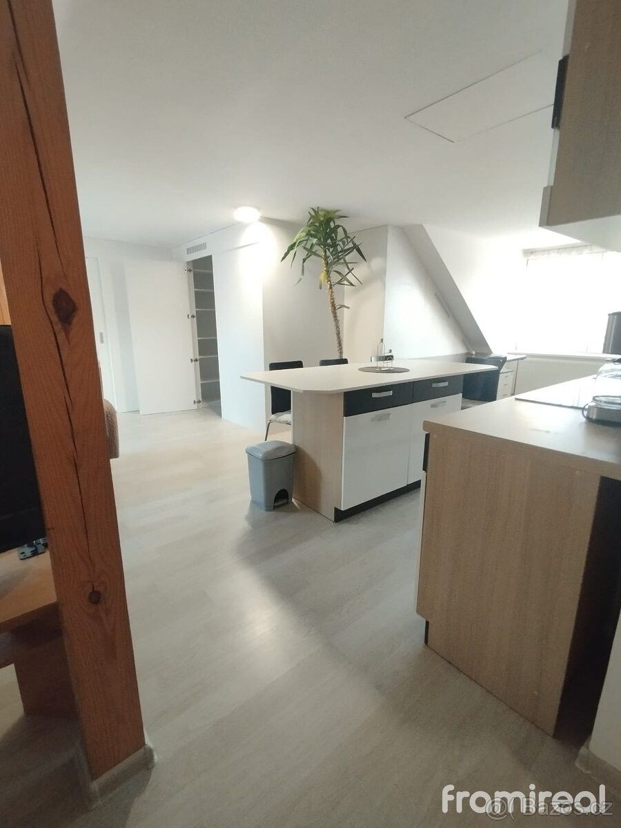 Pronájem byt 4+kk - Brno, 625 00, 110 m²