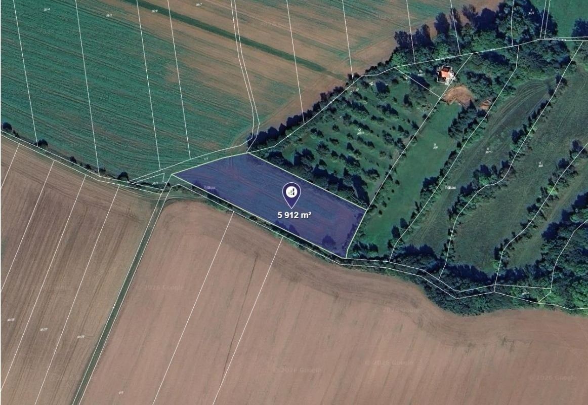 Prodej zemědělský pozemek - Bezděčí u Trnávky - 2