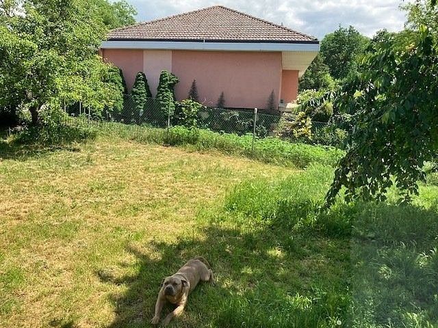 Prodej rodinný dům - Hrádek, okres Znojmo, Jihomoravský kraj, 100 m² - 5