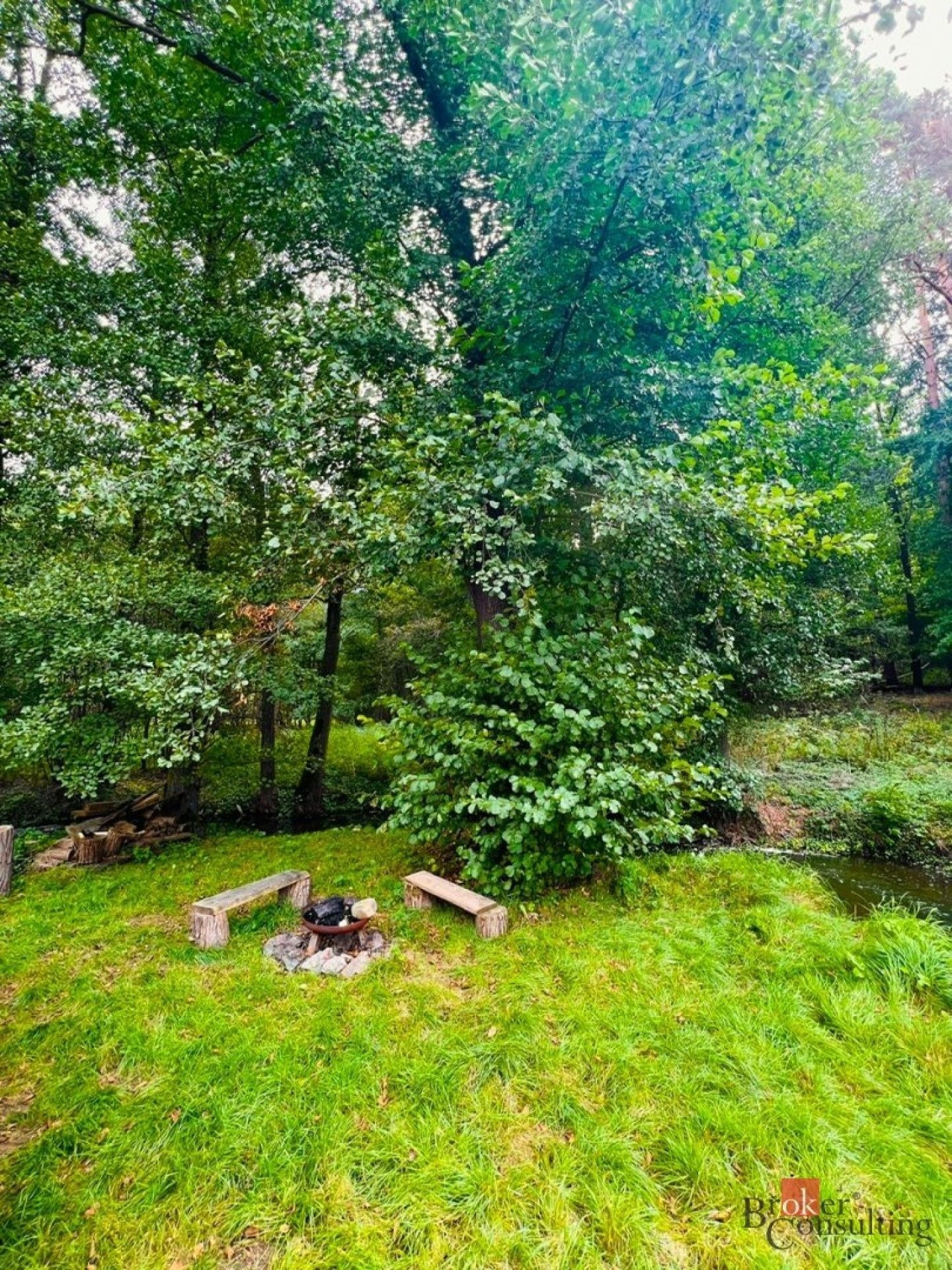 Louka · 1 277 m² · Rybníky - 3