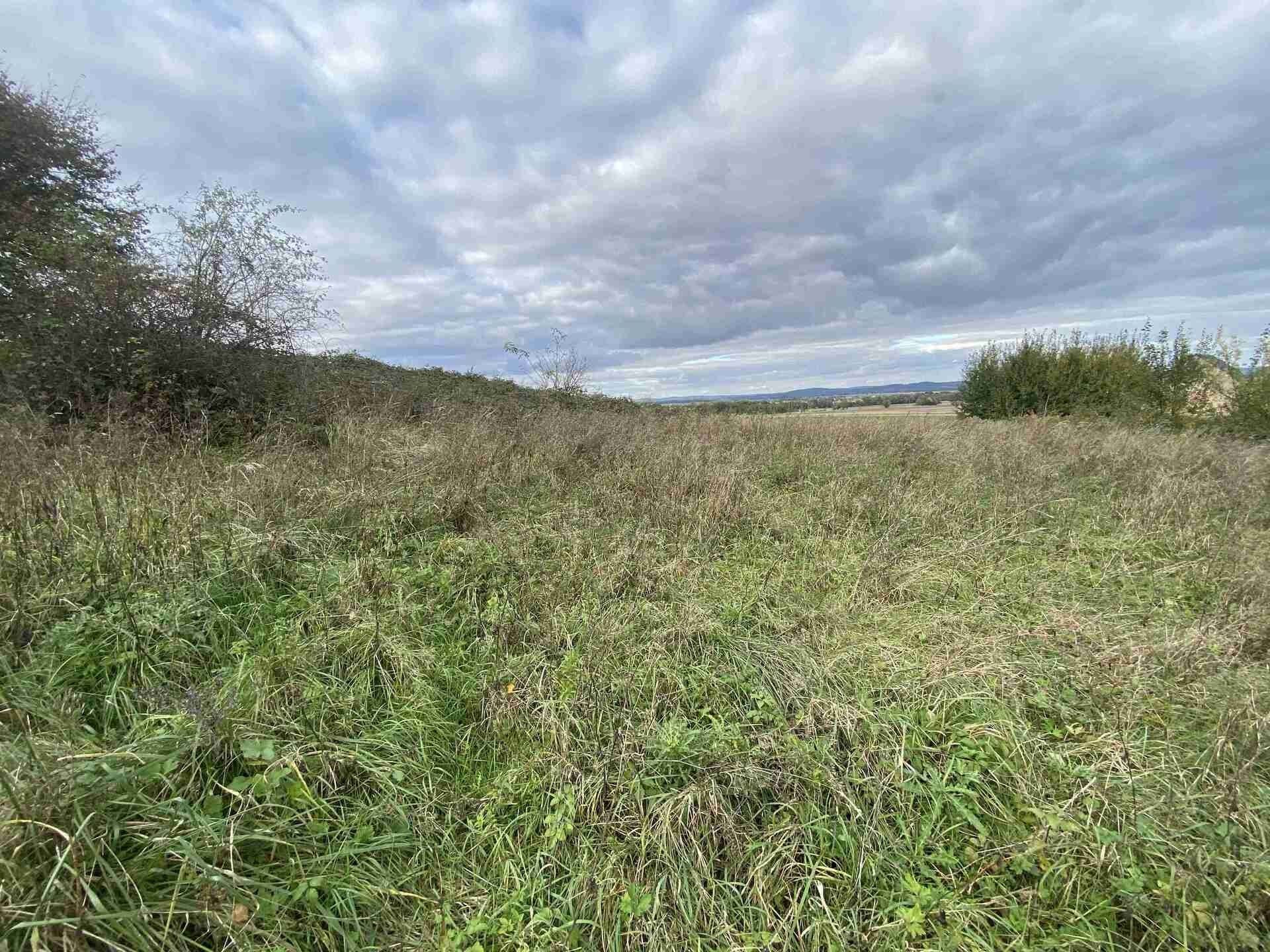 Pozemky pro bydlení, Javorník Horní Hoštice, 1 651 m² - 1