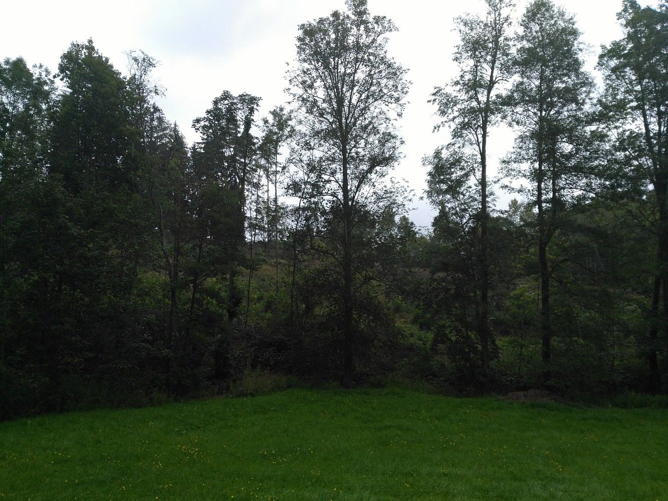 Zahrada · Košťálov, okres Semily, Liberecký kraj - 3