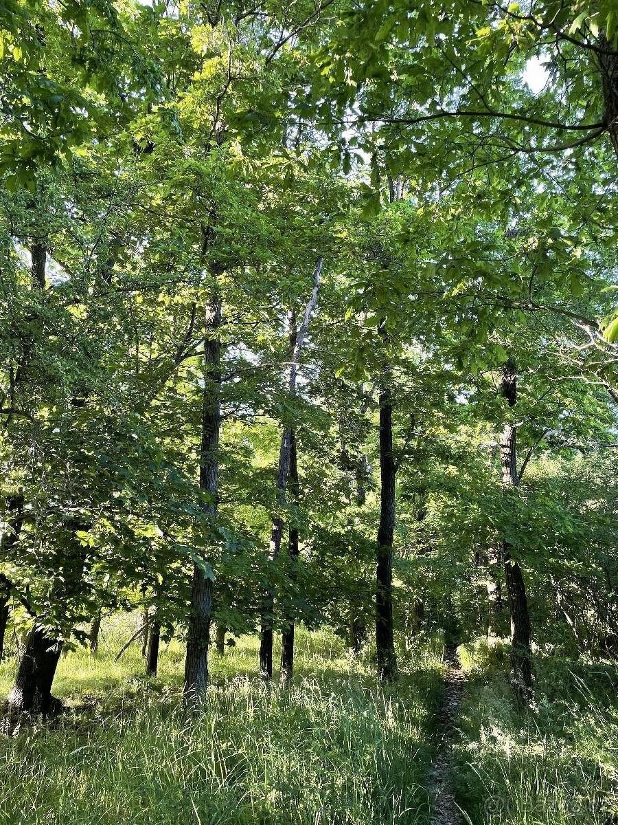 Prodej pozemek pro bydlení - Přeštice, 334 01