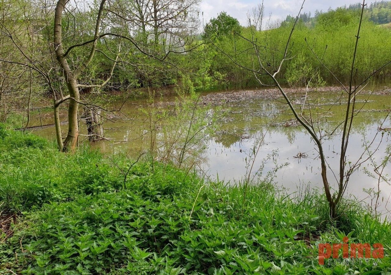 Prodej rybník - Beztahov, Votice, 7 028 m²