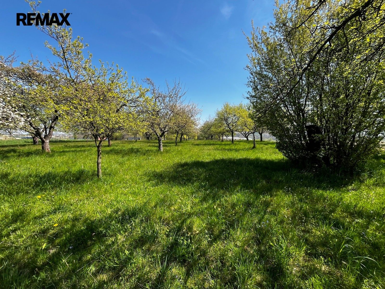 Pozemek · 7 559 m² · Horní Újezd - 4