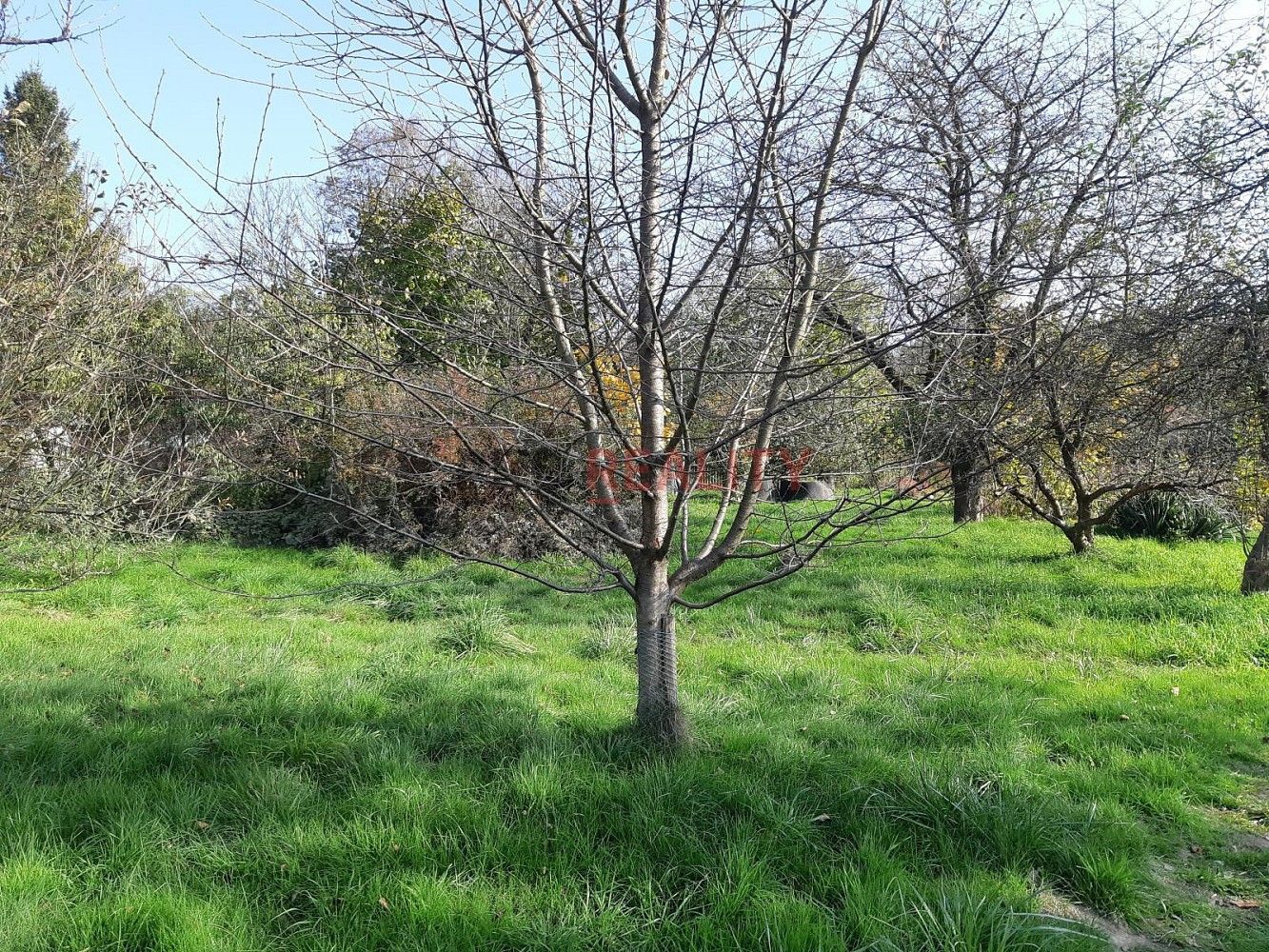 Pozemky pro bydlení, Bravantice, okres Nový Jičín, Moravskoslezský kraj - 2