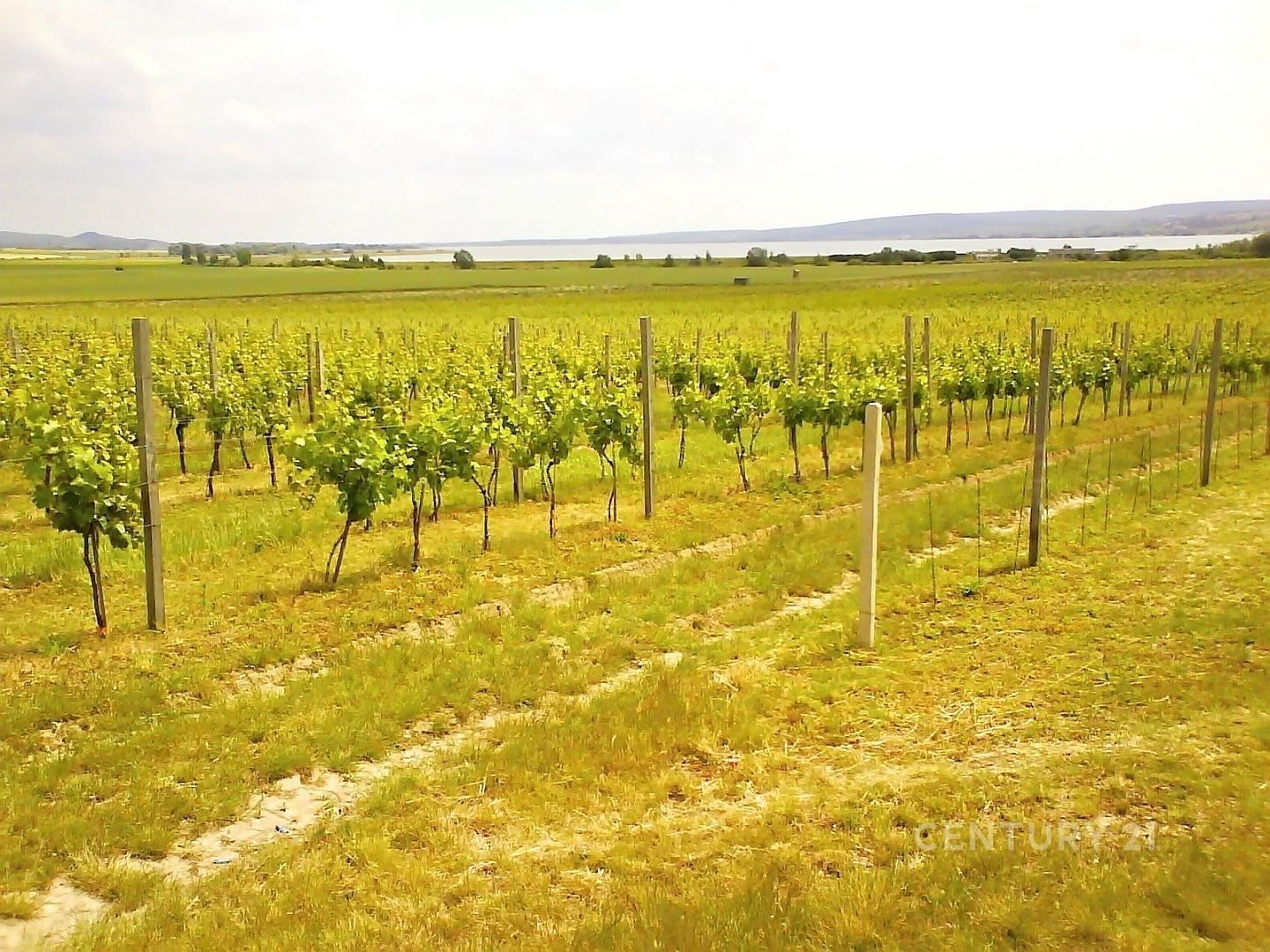 Komerční nemovitost · 200 m² · Strachotín - 4