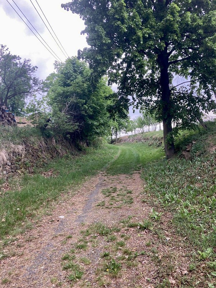 Prodej pozemek pro bydlení - Bačice - Udeřice, okres Třebíč - 2