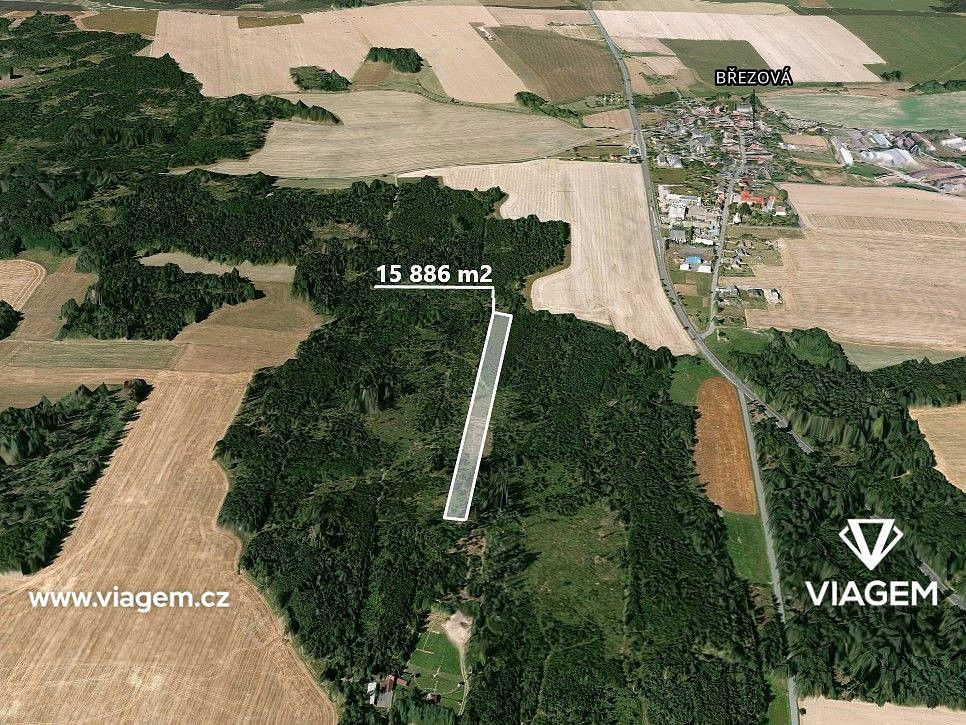 Les · Březová, okres Opava, Moravskoslezský kraj - 4