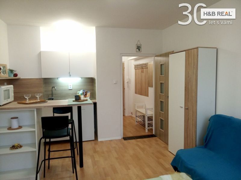 1+kk, Trávník, Přerov, 23 m²