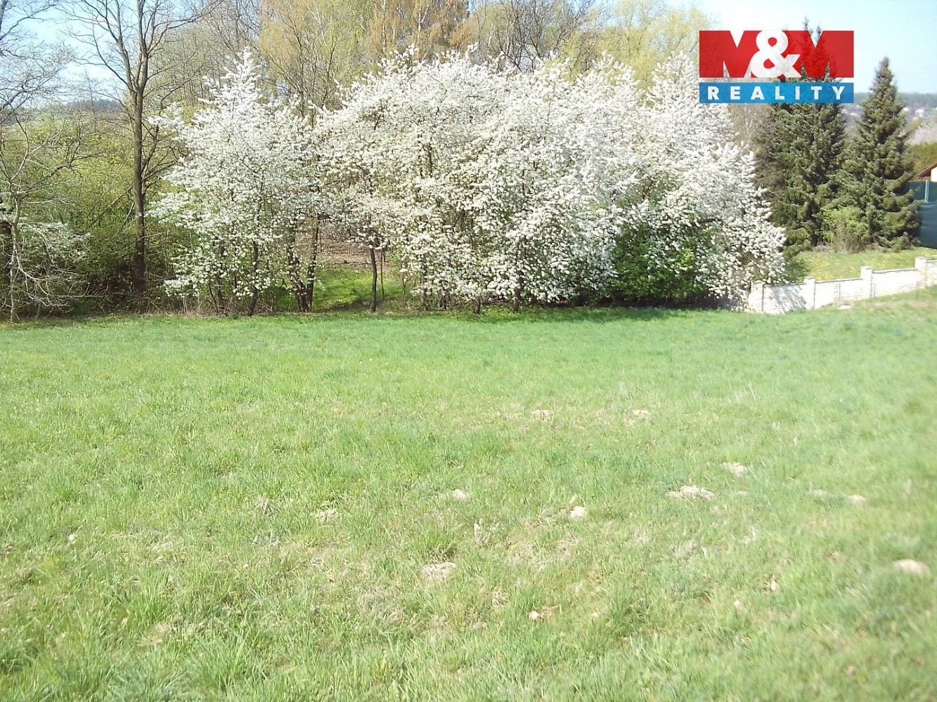 Zahrada · Horní Bludovice - Prostřední Bludovice, okres Karviná, Moravskoslezský kraj - 3