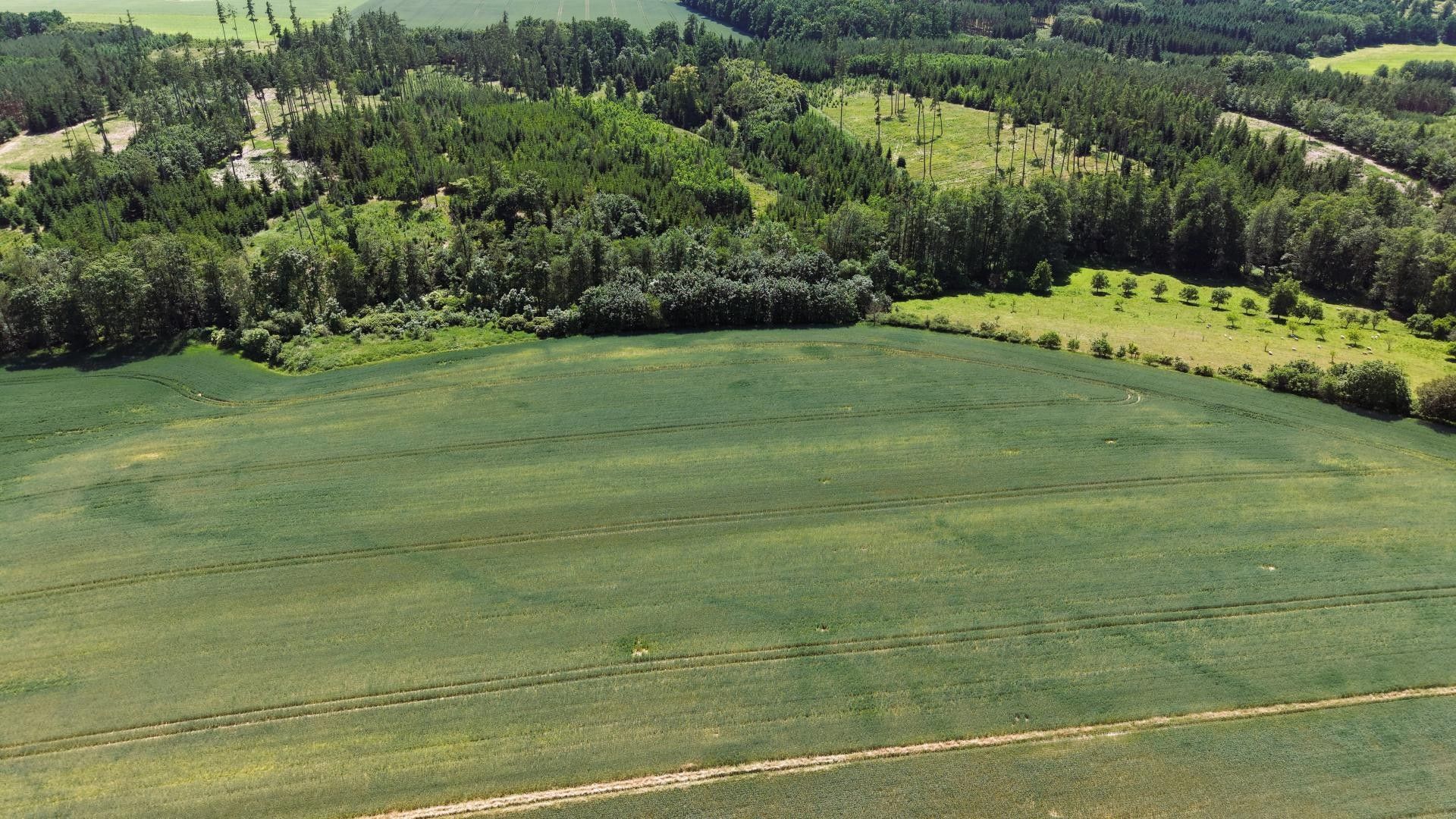 Prodej zemědělský pozemek - Valeč, 18 109 m² - 5