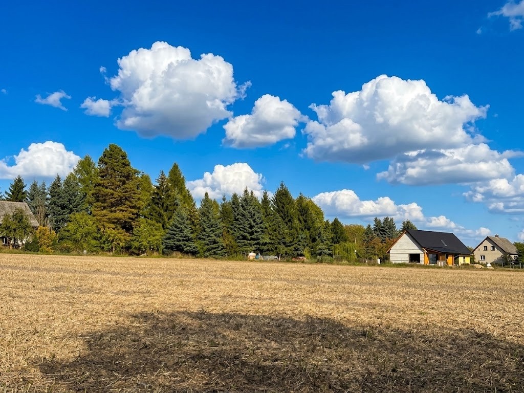 Pozemek pro bydlení · Mohelnice nad Jizerou, 294 13 - 2