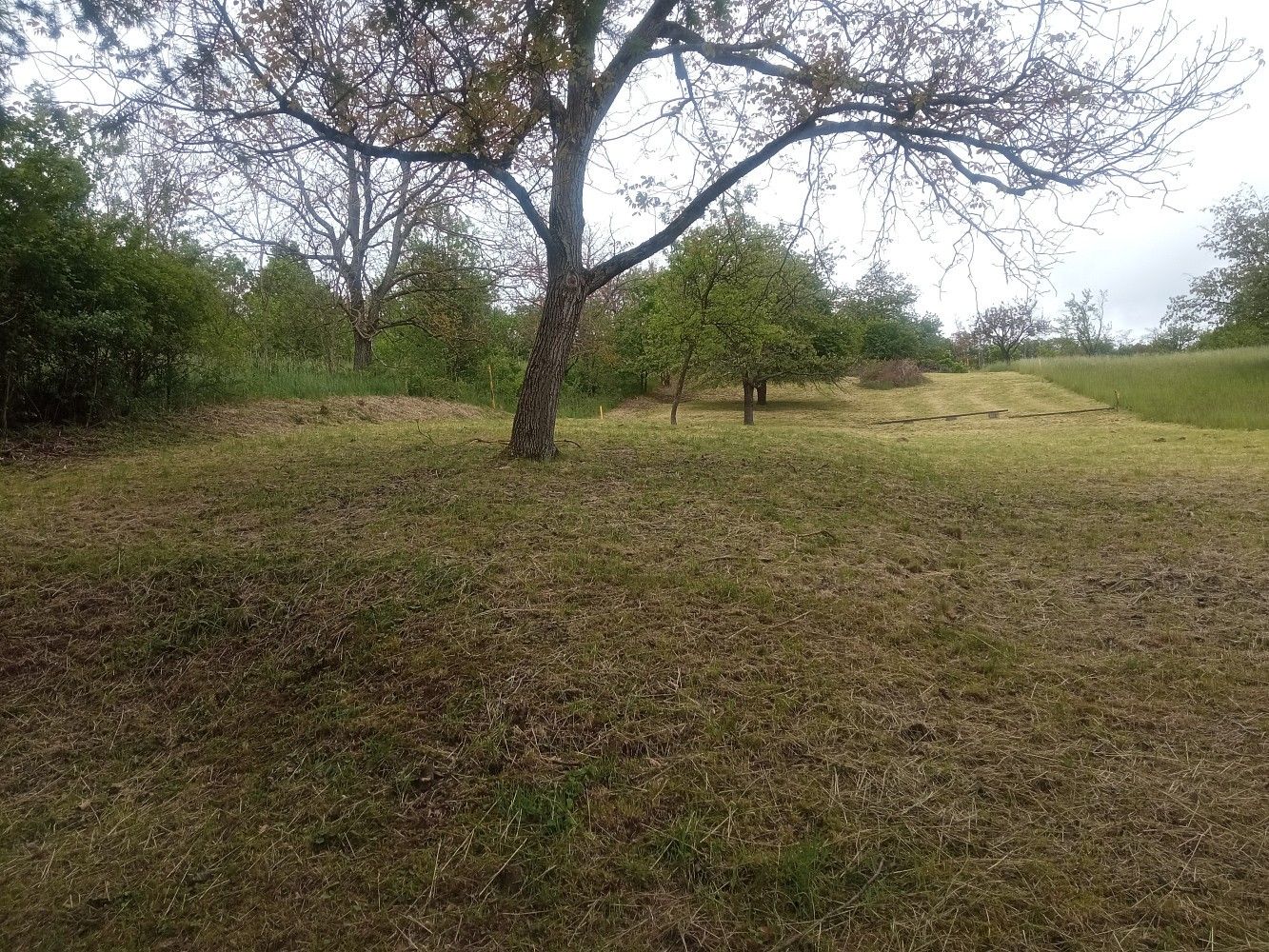 Zahrada · Nedachlebice, okres Uherské Hradiště, Zlínský kraj - 3