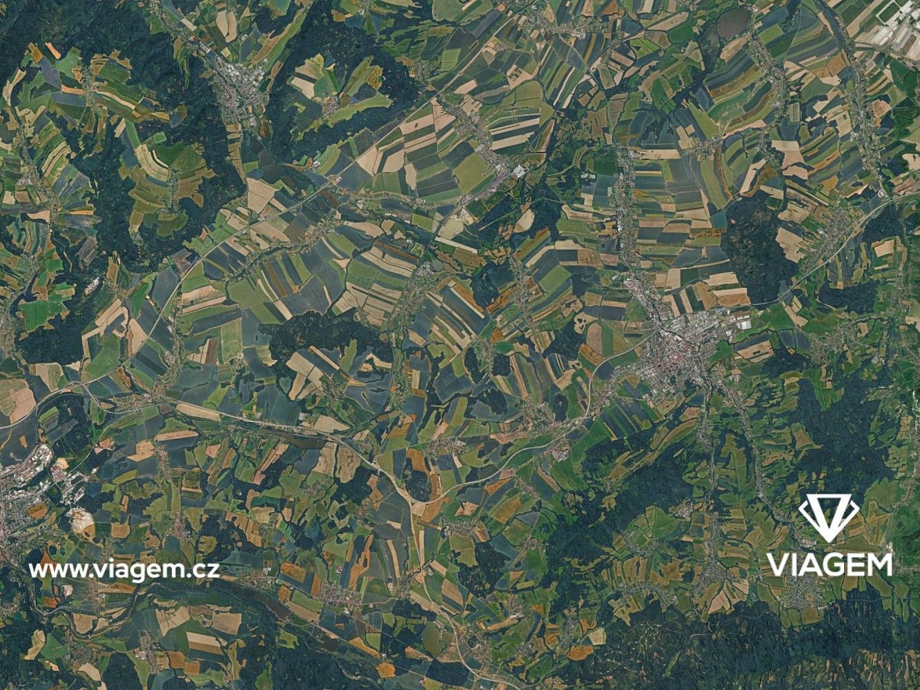Les · Jeseník nad Odrou, okres Nový Jičín, Moravskoslezský kraj - 3