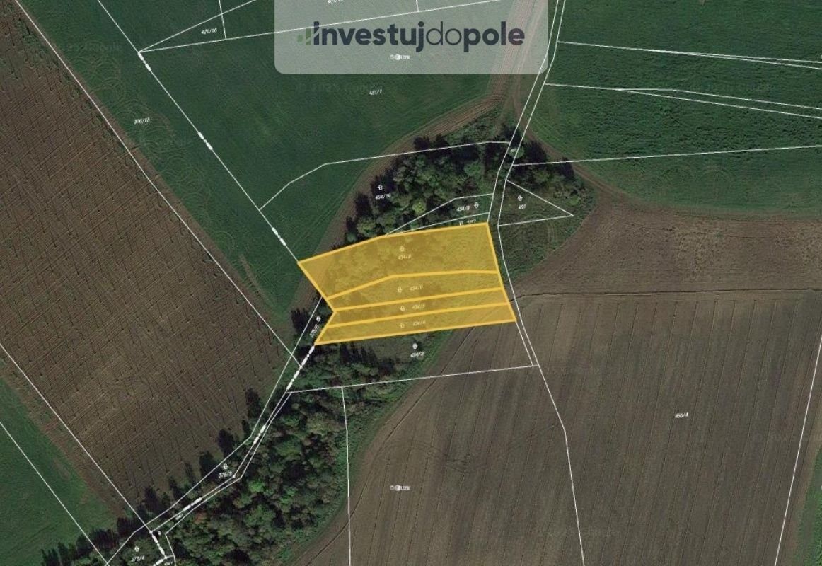 Ostatní, Číňov, Nové Sedlo