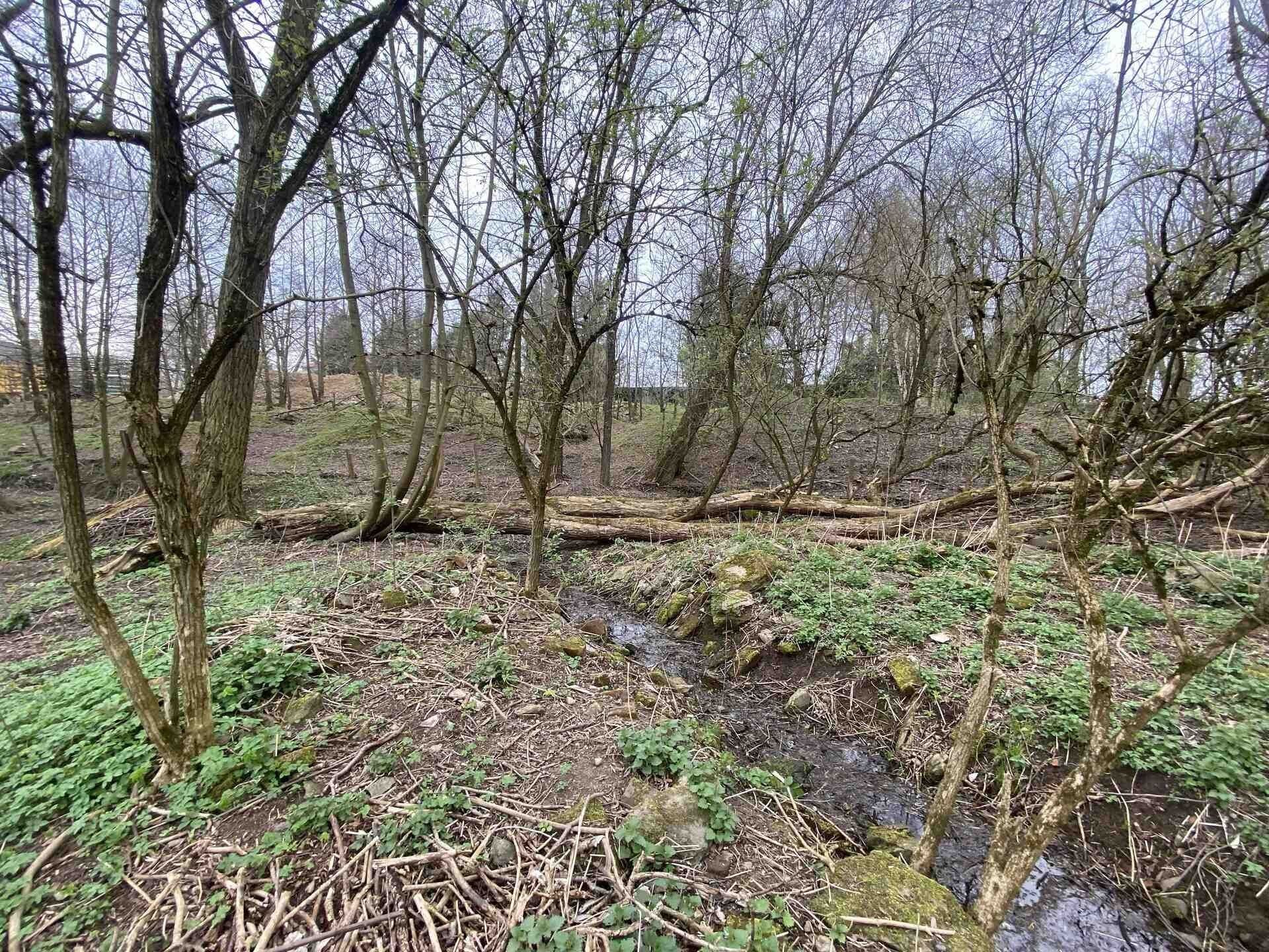 Pozemek pro bydlení · 463 m² · Chotěboř Počátky - 4
