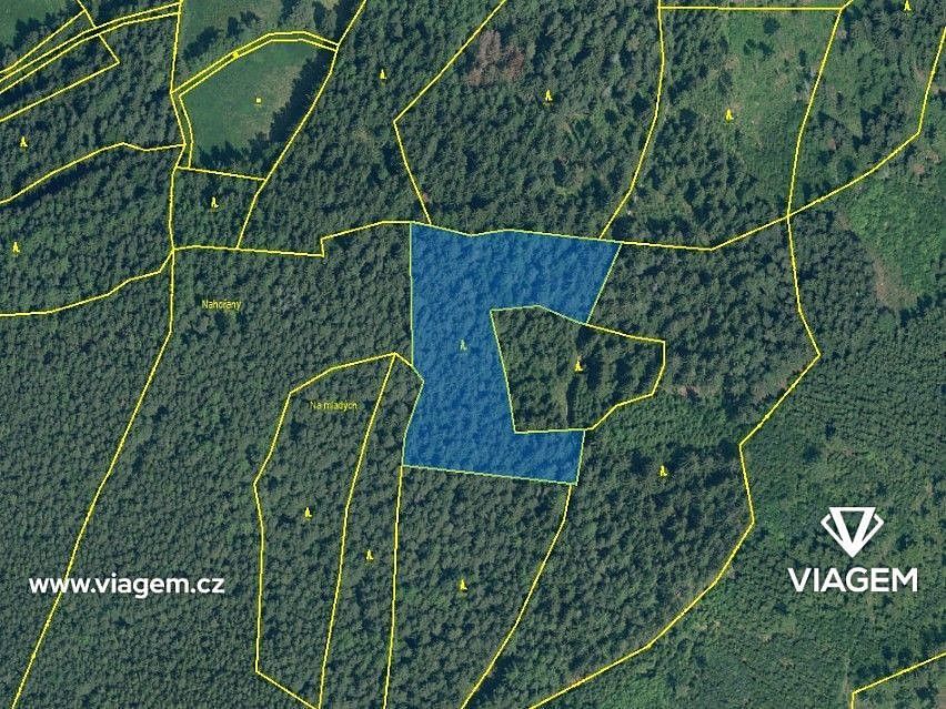 Les · Volyně, okres Strakonice, Jihočeský kraj - 3