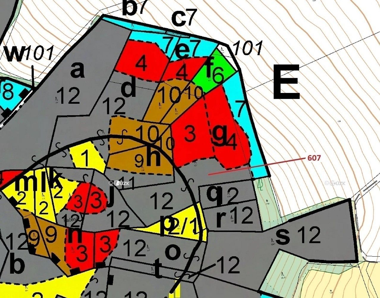 Les · Kuřimany, okres Strakonice, Jihočeský kraj - 3