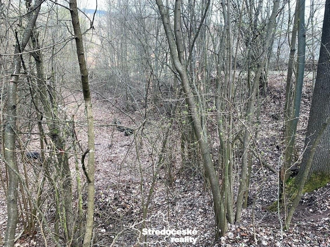 Pozemek · Vonoklasy - 4