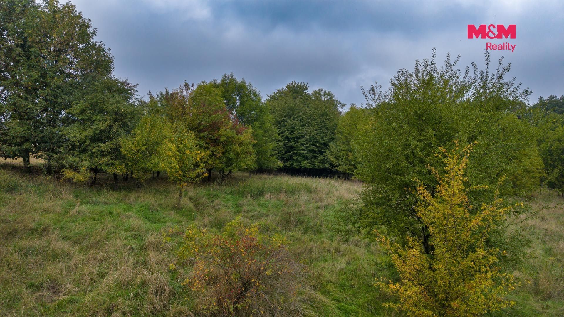 Prodej zemědělský pozemek - Blíževedly Hvězda - 5