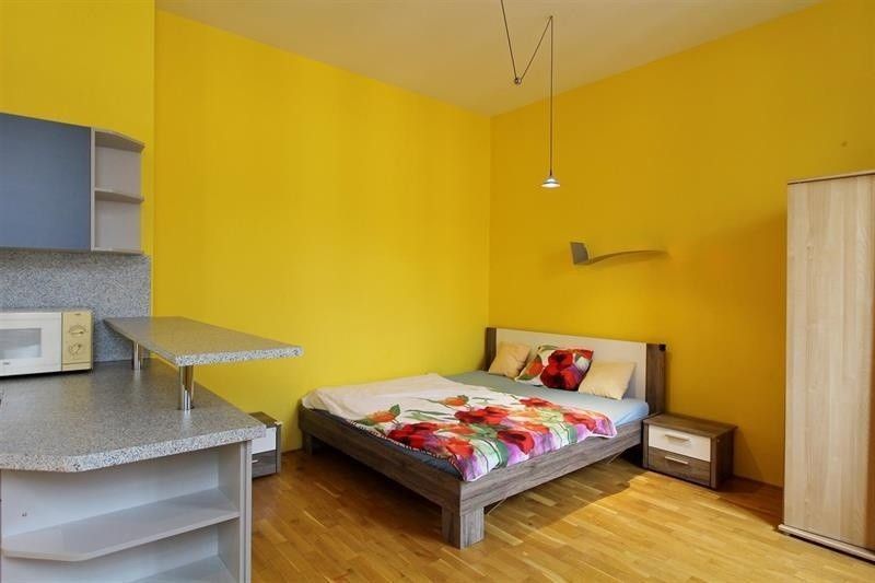 Pronájem byt 1+kk - Gorkého 53, Brno Veveří, 35 m² - 5