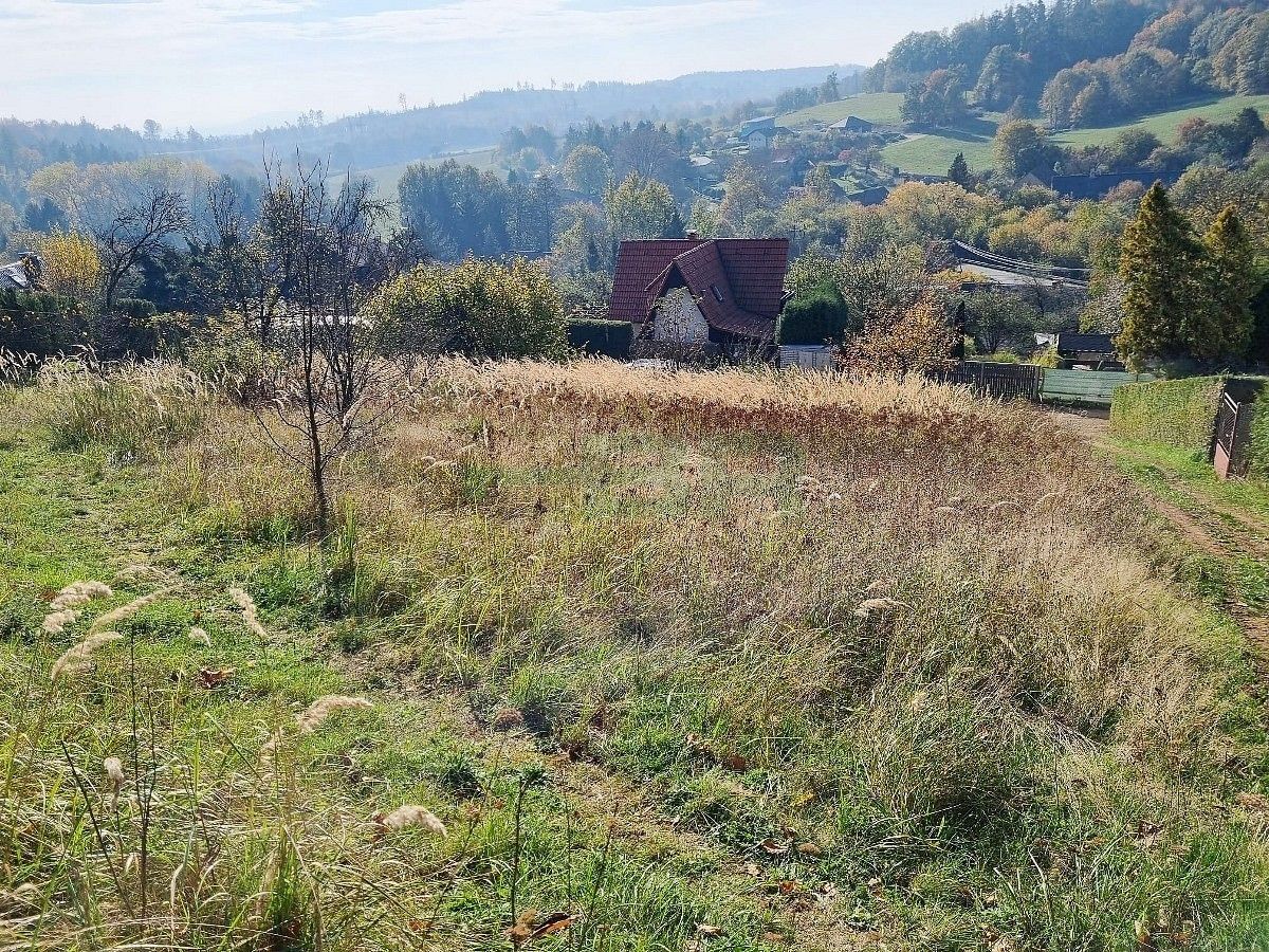 Pozemek pro bydlení · Řehenice - Babice, okres Benešov, Středočeský kraj - 3