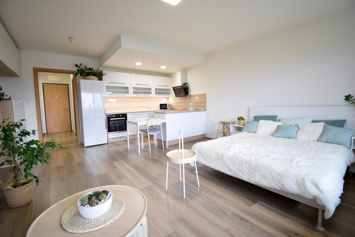 Pronájem byt 1+kk - Slavonínská, Olomouc, 41 m²