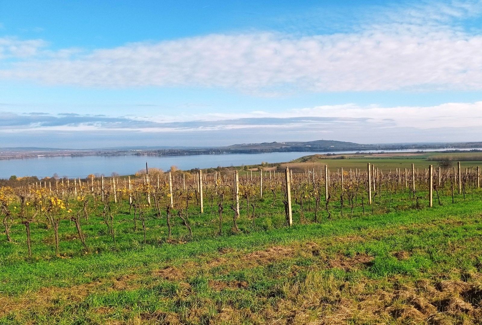 Prodej pozemek - Pavlov, 9 m²