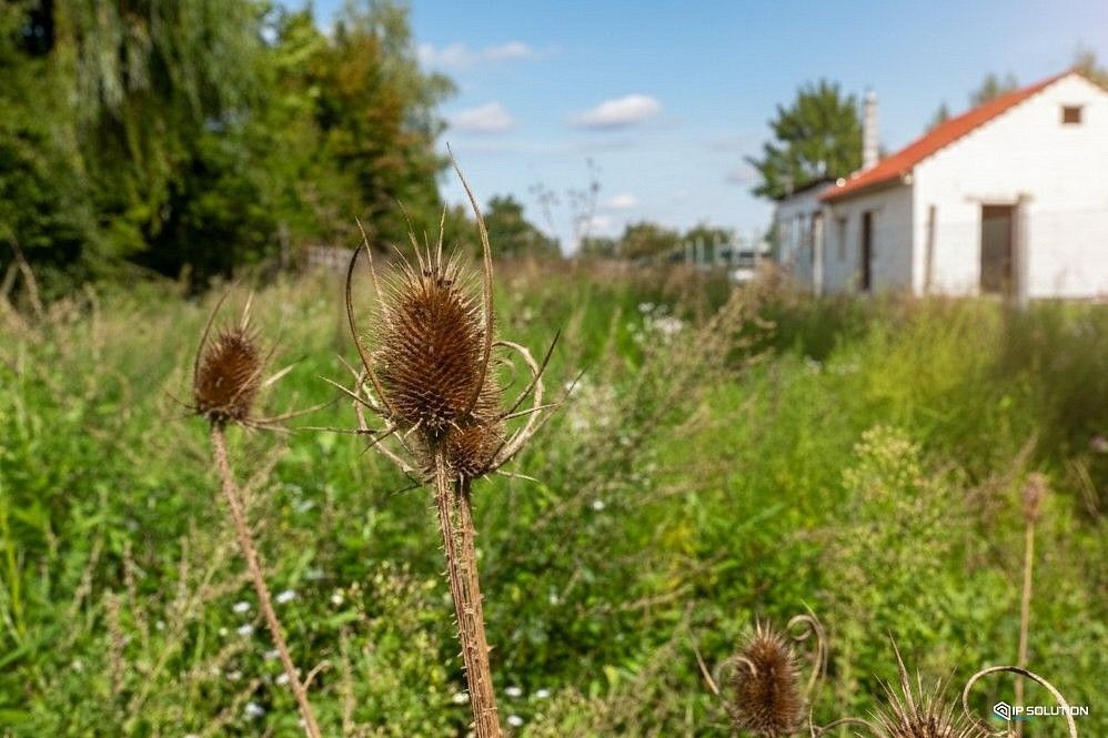 Zahrady, Břeclav, Jihomoravský kraj - 1