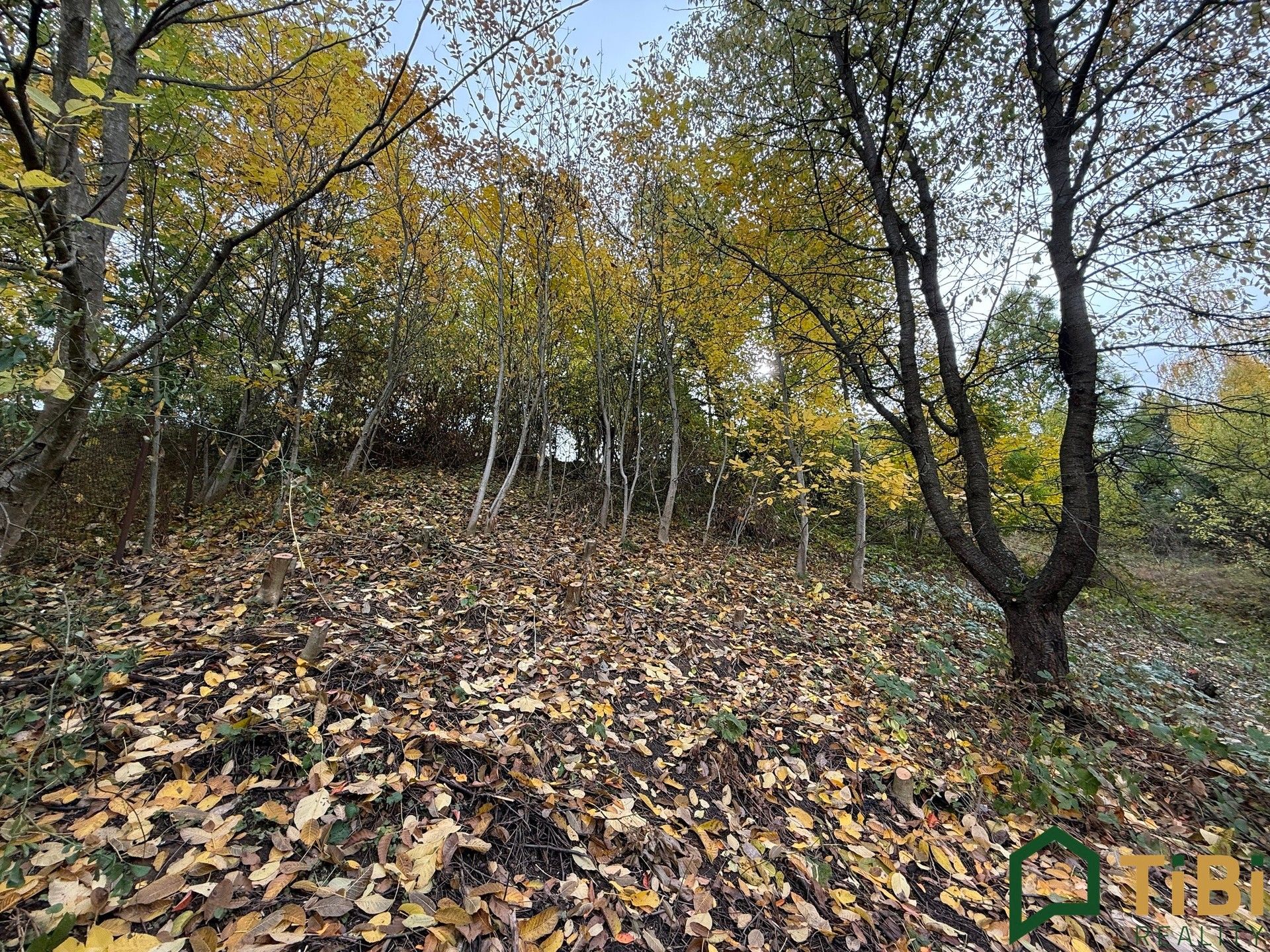 Prodej zahrada - Blansko, 541 m² - 5