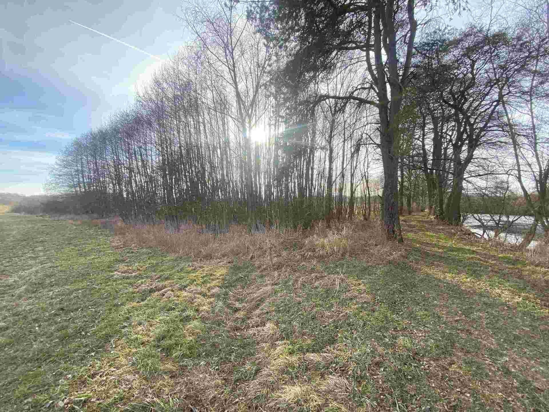 Ostatní, Trstěnice, 1 m²